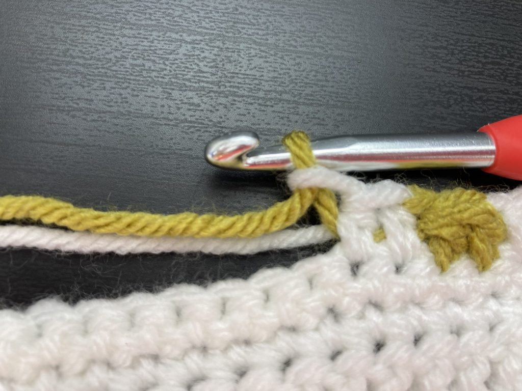 Starting the carrot tops