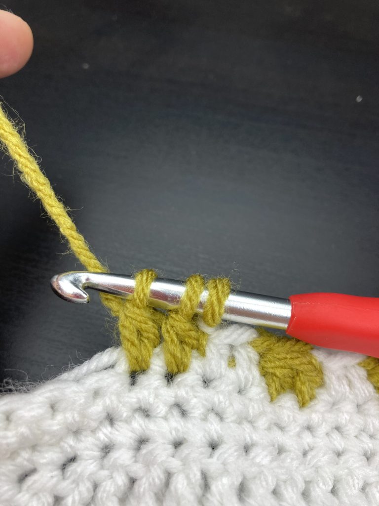 final stage of carrot top